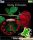 Rose_Clock_SE_240x320_K850_a3.thm
