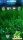Win_Se7en_Nok_s60v5_a120.sis